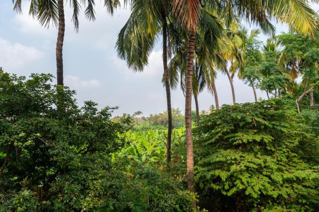 Saptami Hampi Homestay 外观 照片